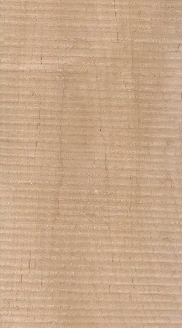 樺木的芯材顏色是淡紅棕色，邊材顏色近白色，板面寬且?guī)в暗哪酒な袌?chǎng)價(jià)格良好，紋理通常是直紋和波浪紋，質(zhì)地均勻，板面有很好的自然光澤度。.webp.jpg