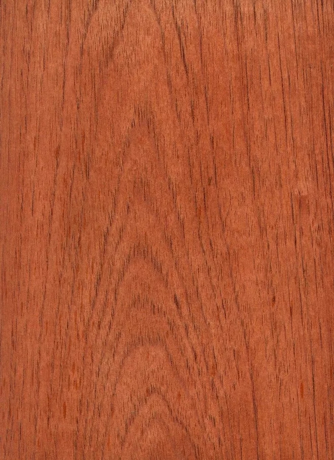 西班牙香杉的芯材為均勻的淺粉色到紅棕色，顏色一般會(huì)隨著樹(shù)木的增長(zhǎng)而加深，通常，木材都自帶樹(shù)脂和有油脂，木材板面看起來(lái)比較普通。紋理通常直，有局部交錯(cuò)，材質(zhì)均勻，天然光澤度一般。.webp.jpg
